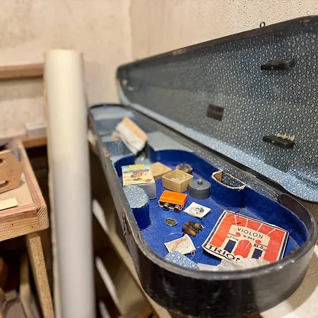 Insolite !! La Lutherie Chappuy 公寓 *