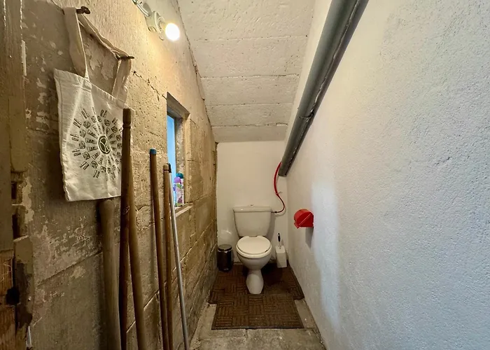 La Lutherie Chappuy * Mirecourt